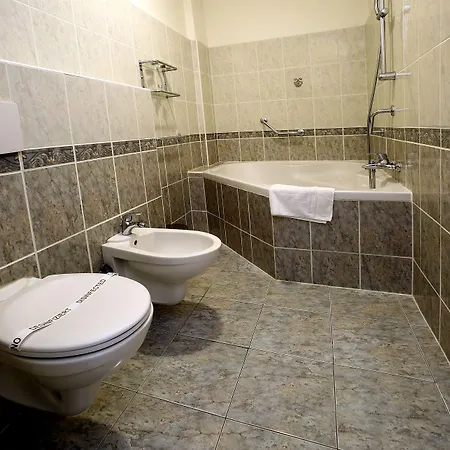 Hotel Central 4* פלזן